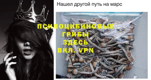 ALPHA PVP Надым