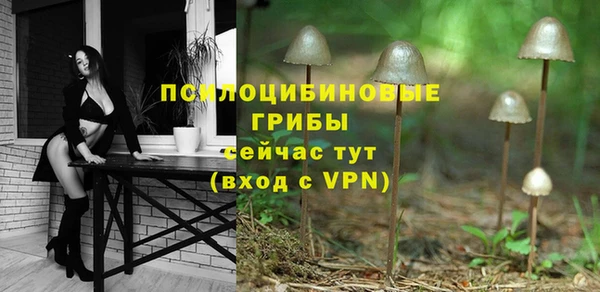 ALPHA PVP Надым