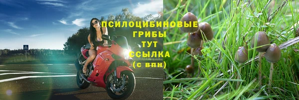 хмурый Наволоки