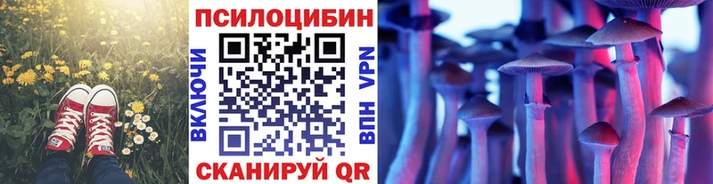 хочу наркоту  Дмитровск  Псилоцибиновые грибы Psilocybine cubensis 